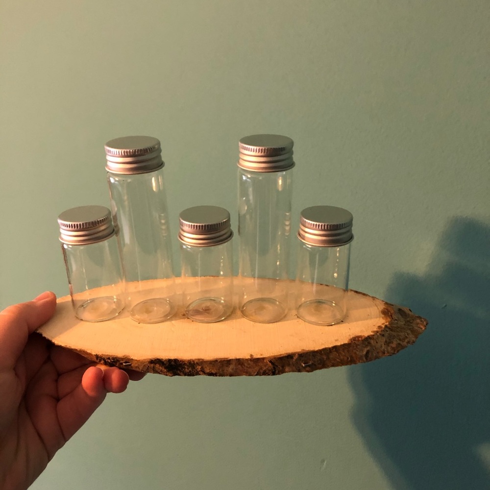 Adorable handmade propagation station